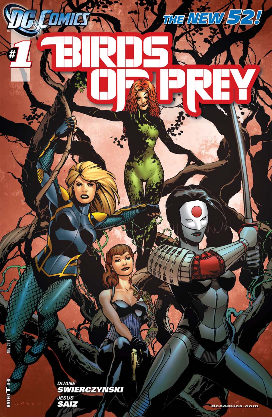 Duane Swierczynski, Jesus Saiz: Birds of Prey (GraphicNovel)